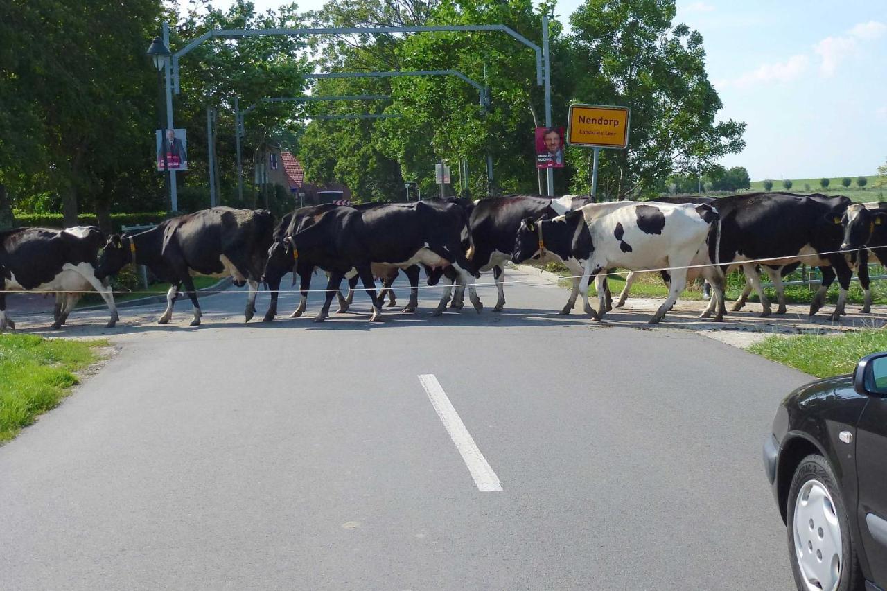 Ferienhof Van Vlyten_ 45006 Jemgum Zewnętrze zdjęcie